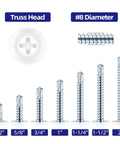 Size Eight By Half Inch Zinc Plated Sheet Metal Screws Three Hundred Piece Pack featuring various lengths and Phillips driven truss head design.