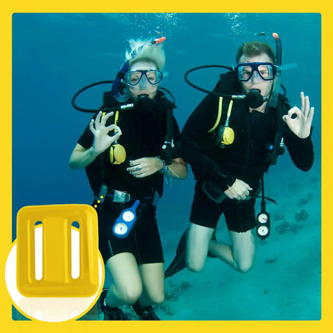Scuba divers underwater with Four 2.2 Lb Rubber-Coated Dive Weights With Nylon Belt For Freediving, Spearfishing, And Scuba.