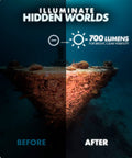 Comparison of underwater visibility with and without DiveRig1 XL Diving Rig Bundle With Waterproof LED Lights for enhanced viewing.