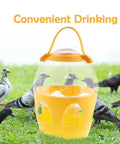 2L Water Dispenser Feeder With Handle For Pigeons, Poultry, Parrot, Duck Or Chicken displayed on grass with pigeons