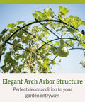 63 Inch Long 80 Inch Tall Garden Arch Arbor For Climbing Vines Heavy Duty Metal Trellis With Nylon Netting in use