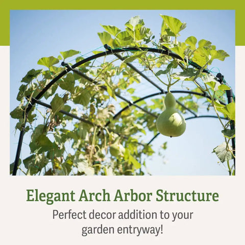 63 Inch Long 80 Inch Tall Garden Arch Arbor For Climbing Vines Heavy Duty Metal Trellis With Nylon Netting in use