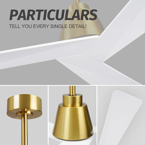 Close-up of gold ceiling fan fixture details