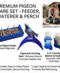 All In One Pigeon Care Starter Kit With Perches Leg Bands Dummy Eggs Waterer And Feeder Premium Birdie Accessories