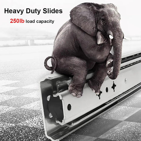 Elephant sitting on 22 Inch Heavy Duty Drawer Slides 250 Lb Full Extension Side Mount Ball Bearing Rails zinc plated steel.