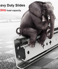 Elephant sitting on Beefy 26 Inch Heavy Duty Drawer Slides 250 LB Full Extension Side Mount Ball Bearing Rails for Cabinets