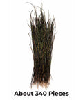 Natural Peacock Herl Feather For Fly Tying, 340 Strands, 10-20cm Length, shown bundled vertically.