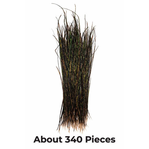 Natural Peacock Herl Feather For Fly Tying, 340 Strands, 10-20cm Length, shown bundled vertically.