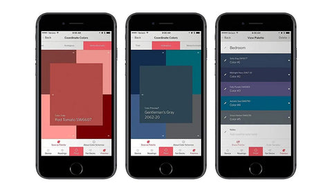 App interface of ColorReader Pro Digital Colorimeter And Paint Matching Tool showing color swatches and values for precise matching.