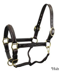 Double Stitched Leather Breakaway Halter Crown Replacement 21 Or 25 Inch 1 Inch Wide Universal Fit For Standard Leather Or Nylon Halters