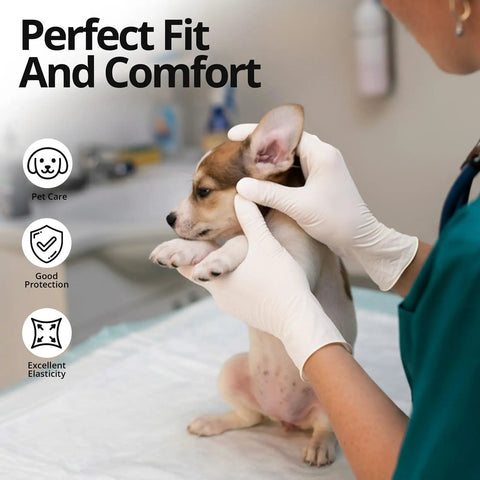 A person wearing white gloves holds a puppy during a medical examination, showcasing Straight Up Reliable Disposable Nitrile Exam Gloves, White Powder Free Build, Rock Solid 3 Mil Coverage For Medical Rounds, Kitchen Prep, Barber Work, Or Heavy Duty Home Cleaning, Box Of 100.