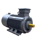 Beefy Three Phase Permanent Magnet Synchronous Speed Regulated Motor With Variable Frequency Drive Ready YYT132S 7.5KW 1500RPM