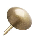 Killer Style Antique Brass Upholstery Tack Nails Slick One Inch Round Heads For Furniture Reno Cork Boards And Custom Woodwork Pack Of Thirty Solid Craft Accents close-up of round brass tack nail