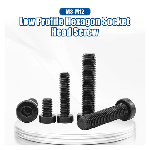Heavy Duty 12.9 Grade Low Profile Hex Socket Cap Screws Assorted Metric Bolt Kit M3 M4 M5 M6 M8 M10 M12 Solid Thin Head Carbon Steel No Nonsense Diy Essential Badass Pro Shop Upgrade