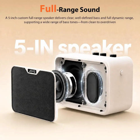 Compact 10W Bass Amp For Practice, Dual Channel Normal And Drive, Battery Powered Portable Bass Guitar Amp, speaker detail