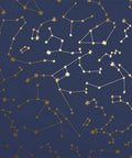 Navy Blue And Metallic Gold Constellations Removable Peel And Stick Wallpaper For DIY Home Decor, Self Adhesive, Made In The USA