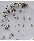 100 Piece Watch Movement Screw Set With Assorted Original Size Screws For Repairs And DIY on a white surface