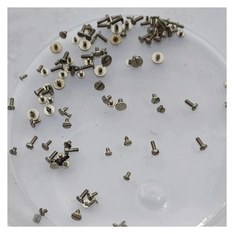 100 Piece Watch Movement Screw Set With Assorted Original Size Screws For Repairs And DIY on a white surface