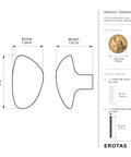 Dimensions of Sweet Looking Pebble Wall Hook Built From Top Shelf 304 Stainless Steel, showing sizes and included hardware.
