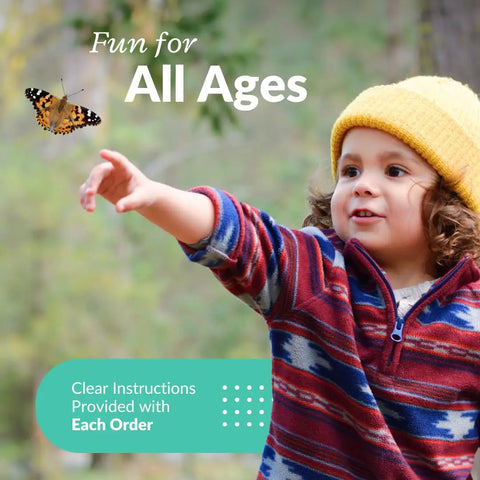 Watch Five Live Painted Lady Caterpillars Transform Into Butterflies With This Hands On Butterfly Garden Kit For Kids And Families, Includes Observation Timeline And Simple Care Tips. Child reaching toward Painted Lady butterfly