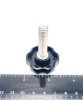Three Eighths Inch Thumb Screw Bolts With Black Round Hex Head Clamping Knob Cap Grip Full Thread 304 Stainless Steel Fasteners Three Eighths Inch By Sixteen Threads Standard Thread Rust Resistant No Wrench Needed Quick Adjust For Jigs And Fixtures, shown next to a ruler for scale.