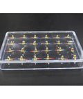 Magnetic Field Demonstration Plate Teaching Kit For Physics Class, Transparent Cuboid Display With 24 Steel Needles