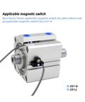 Compact Dual Rod Pneumatic Cylinder Built Tough For Rock Solid Stability And Zero Wobble With Magnetic Switch.