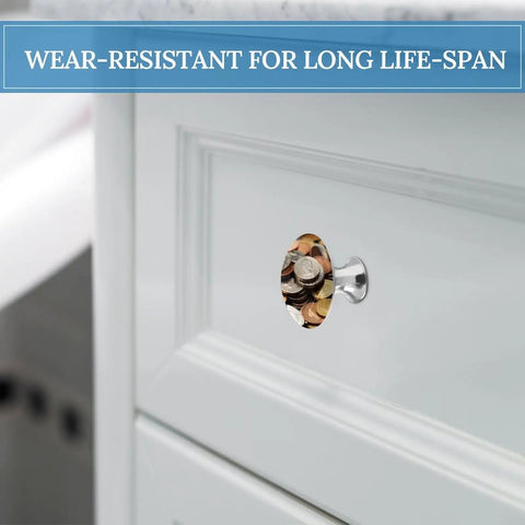 2 Pack 1.1 Inch Round Currency Coin Cabinet Knobs In Stainless Steel on a white kitchen drawer
