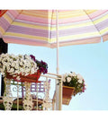 Heavy Duty Umbrella Clamp Holder For Patios And Beach Tents Adjustable Outdoor Shade Mount on balcony with flower pots.