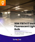 16W F16T4 17 Inch Fluorescent Light Bulb Replacement for Furnlite FC952 with G5 Mini Bi Pin Base in a parking garage display