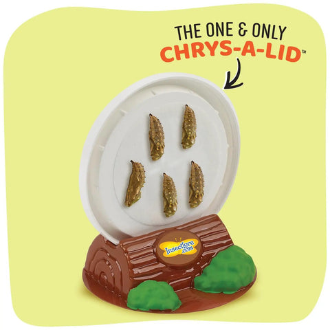 Butterfly Garden Kit Refill For Painted Lady Butterflies With Two Cups Of Caterpillars Raise And Release Experience showcasing Chrys-A-Lid with chrysalis