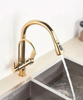 d/Black/Ch Kitchen Pull-Out Water Filter Faucet - 2/3 Way Mixer Tap for Cold Drinking WaterSink C with Purificat System in gold finish.