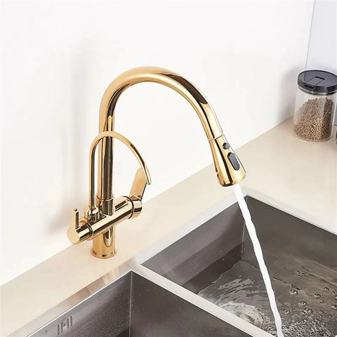 d/Black/Ch Kitchen Pull-Out Water Filter Faucet - 2/3 Way Mixer Tap for Cold Drinking WaterSink C with Purificat System in gold finish.