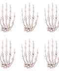 Six Pack Halloween Skeleton Hands Set Realistic Plastic Skeleton Hands for Spooky Decor Right and Left Hands Six by Four Inch Props