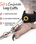 Bird Harness Leash For Parrots With Anti Bite Outdoor Flying Training Rope ankle ring and foot loop on parrot claw