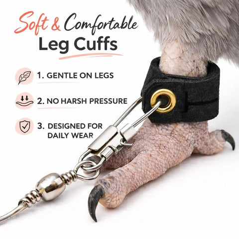Bird Harness Leash For Parrots With Anti Bite Outdoor Flying Training Rope ankle ring and foot loop on parrot claw