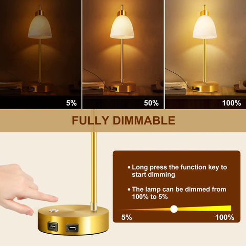 Gold Brass Industrial Table Lamp With Dual USB Ports Fully Dimmable Touch Control showing dimming levels from 100% to 5%.