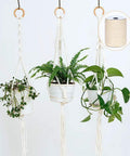 Hanging plants in macrame using 4mm Natural Cotton Macrame Rope Twisted 3-Strand Cord, 328 Yards, spool visible