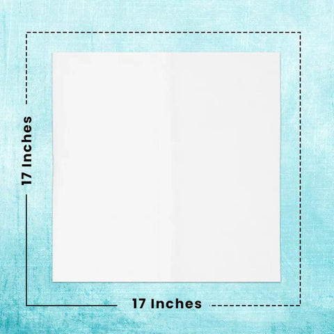Lint Free Cleaning Rags 24 Pack 100 Percent Cotton Cloths Soft Tee Shirt Material Highly Absorbent And Durable Pro Grade 17 Inches