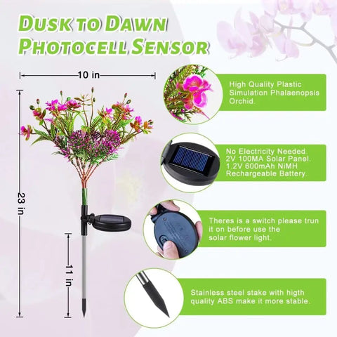 Outdoor Solar Flower Lights Set Phalaenopsis Orchid Solar Garden Lights Waterproof IP65 2 Pack with photocell sensor