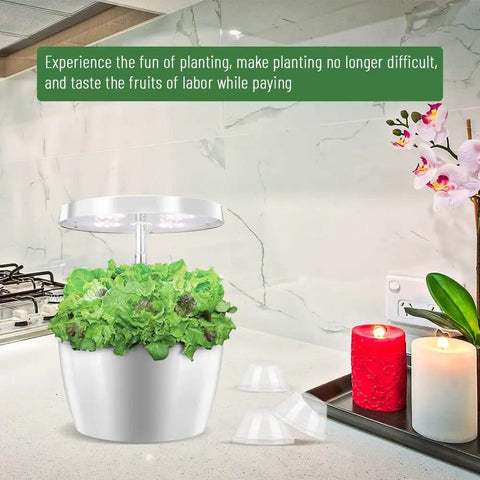 Clear As Day See Through 50 Pack 4cm Inner Diameter Grow Domes in kitchen with hydroponic setup and candles