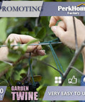 Hands tying plant with Natural Jute Garden Twine 800 Feet Green 2mm Thick for Plant Ties Tomato Climbing Floristry Gift Wrapping