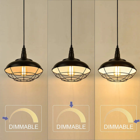 Sick Style Industrial Black Cage Plug In Pendant Light With Dimmable Switch showing dimmable lighting options, 10 inch design, black steel cage.
