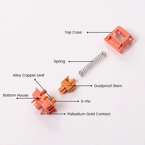 Exploded view of Rosewood Mechanical Keyboard Switches 5 Pin 40gf Linear Pre Lubed Thocky Sound 4mm Travel For Gaming Keyboards components