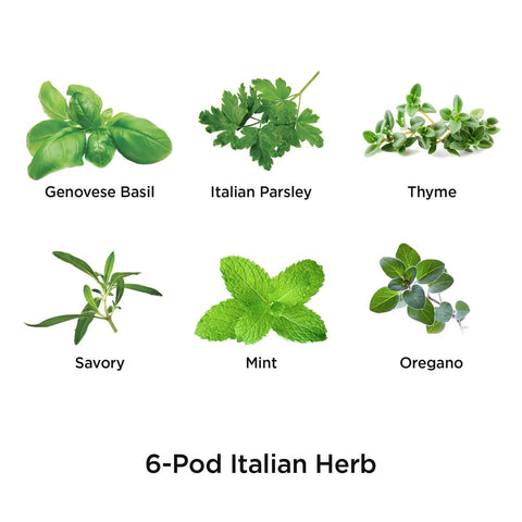 Assorted Italian Herb Seed Pod Kit For Indoor Hydroponics 6 Pod Set No GMO Seeds No Pesticides No Herbicides Easy Grow