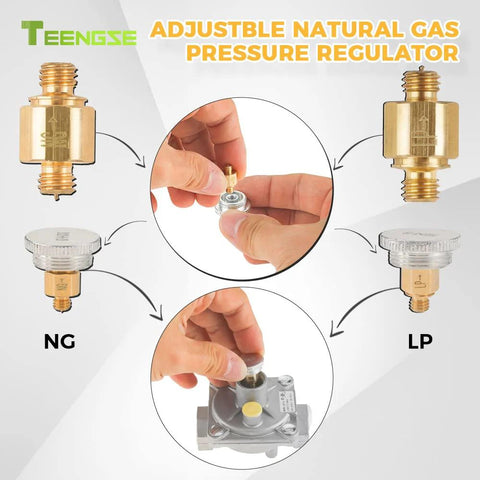 Close-up of TEENGSE 1/2 in natural gas pressure regulator with brass 1/2 in NPT adapters (NG/LPG)