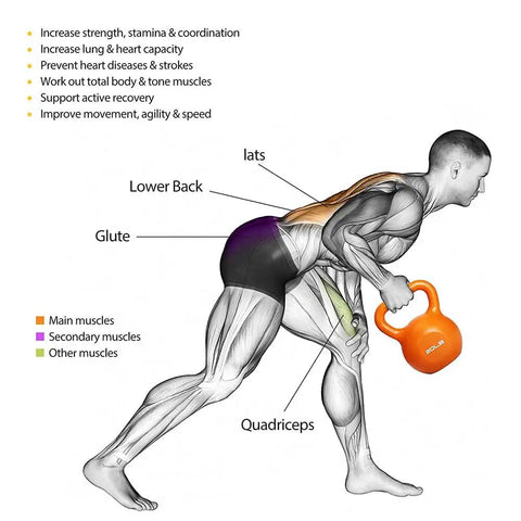 Illustration of muscles targeted while using a 20 lb kettlebell for strength training with focus on lats, glute, lower back, and quadriceps.