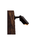 Down Accent Light 1 Light 12V Low Voltage For Wet Locations Slick Textured Architectural Bronze Aluminum Construction mounted on tree