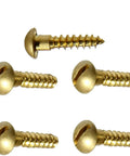 Solid Brass Wood Screws Slotted Round Head 14 X 3 Inch, 500 Pack displayed from various angles on white background