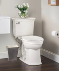 No Fuss Non Electric Elongated Bidet Toilet Seat With Dual Wash Arms and Adjustable Water Pressure in a bathroom setting.